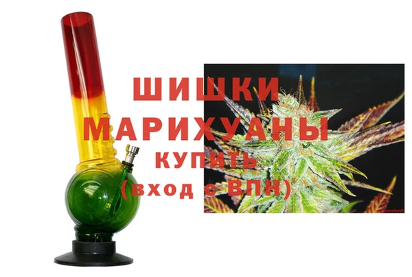 PSILOCYBIN Бородино