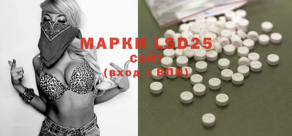 PSILOCYBIN Бородино