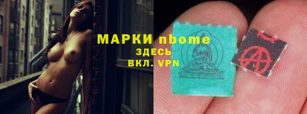 индика Бугульма