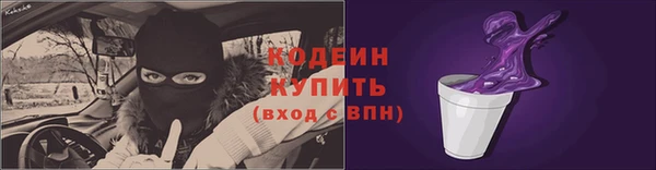 индика Бугульма