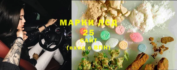 PSILOCYBIN Бородино