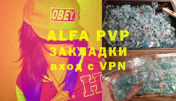 PSILOCYBIN Бородино