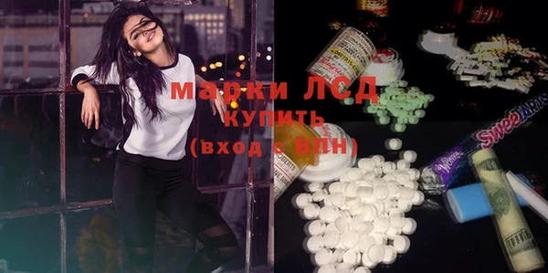 PSILOCYBIN Бородино