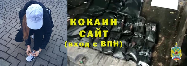 индика Бугульма