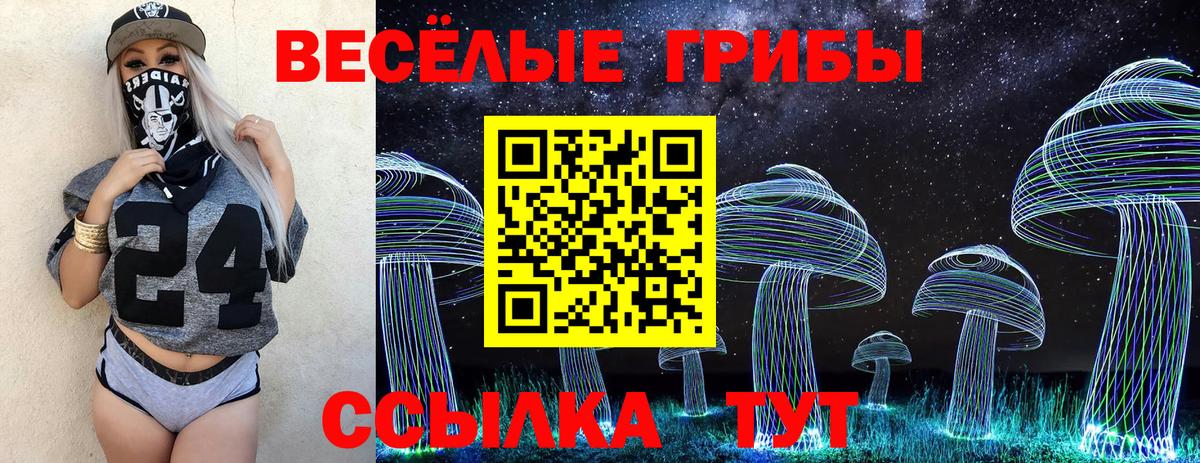 Псилоцибиновые грибы Psilocybe Северобайкальск