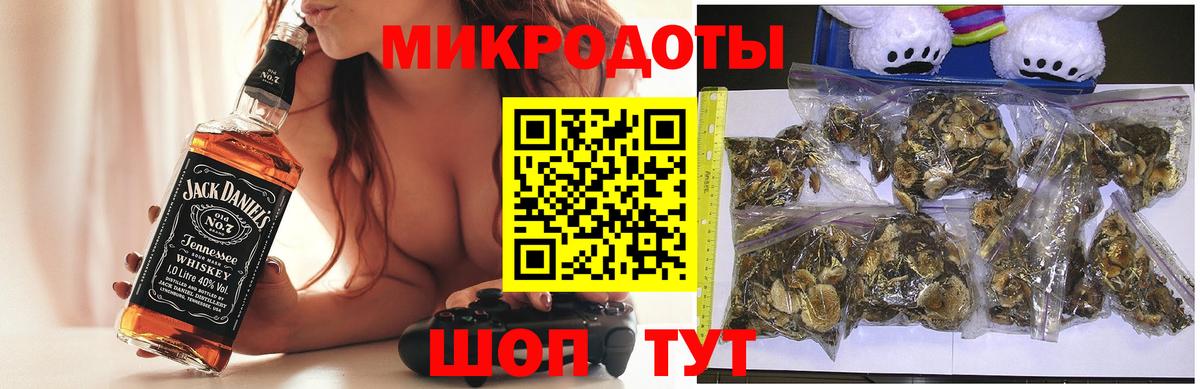 закладки  Псилоцибиновые грибы Psilocybe  Вход с VPN  Псилоцибиновые грибы Psilocybe  Северобайкальск 